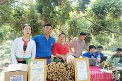 Nỗ lực đưa sản phẩm OCOP lên sàn