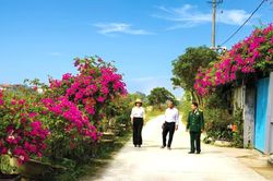 Bức tranh đồng quê trong phố