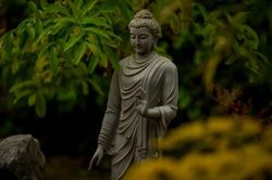 Thiền và chánh niệm có những mặt tối mà chúng ta ít khi nhắc đến