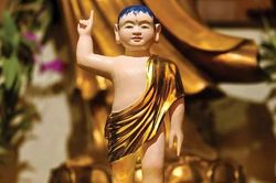 Từ hình tướng sơ sanh đến biểu tượng siêu việt, thanh tịnh của Đấng Giác ngộ, bậc Ly dục