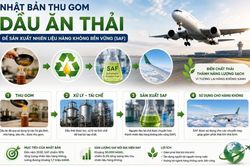 Nhật Bản thu gom dầu ăn thải để sản xuất nhiên liệu hàng không