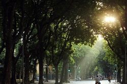 Dự báo thời tiết ngày 7/6: Hà Nội 38 độ C, nhiều khu vực cả nước nắng nóng gay gắt