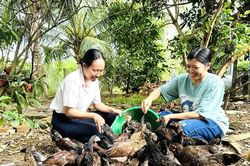 Vốn chính sách trên cao nguyên Chư Sê: Bài 1: Đánh thức khát vọng thoát nghèo