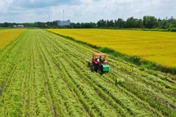 Muốn có thực phẩm an toàn, phải bắt đầu từ truy xuất nguồn gốc