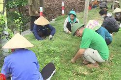 Xã Hòa Xá đảm bảo giữ gìn vệ sinh môi trường thôn, xóm