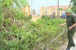 Xã Ứng Hòa đảm bảo vệ sinh môi trường xanh, sạch, đẹp