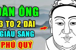 Người xưa dặn: 'Chọn chồng cứ 3 to, 2 dài mà lấy, về sau ắt no đủ', hóa ra có lý do