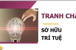 Doanh nghiệp đối mặt áp lực mới khi tranh chấp sở hữu trí tuệ bùng phát trên nền tảng số