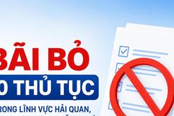 Bãi bỏ 10 thủ tục trong lĩnh vực hải quan, kinh doanh hàng miễn thuế