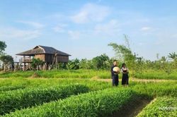 Nông nghiệp hữu cơ - Căn cốt kiến tạo môi trường sống bền vững