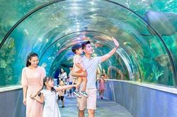Xây dựng 'lá chắn' bảo vệ trẻ em