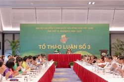 Đại hội lần thứ IX Hội Nông dân Việt Nam: Đại biểu tích cực tham góp ý kiến hoàn thiện văn kiện