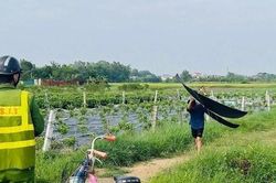 7 chuyến bay bị ảnh hưởng do phi công phát hiện có diều tại Nội Bài