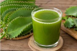 10 tác dụng của nước ép lá bỏng đối với sức khỏe