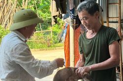 Nguy cơ bệnh dại gia tăng mùa nắng nóng, cần tiêm phòng ngay khi bị chó mèo cắn
