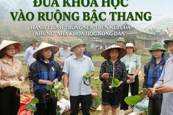 Đưa khoa học vào ruộng bậc thang, hành trình trồng sen trên núi của những 'nhà khoa học nông dân'