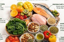 Collagen từ thực phẩm có thực sự hiệu quả?