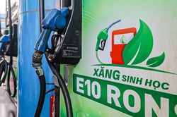 Yêu cầu bảo đảm nguồn cung xăng sinh học trên toàn quốc