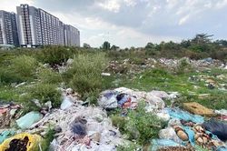 Vi phạm bảo vệ môi trường sẽ bị đình chỉ hoạt động sản xuất, kinh doanh