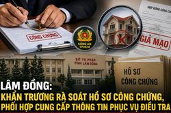 Công an TP.HCM truy vết dữ liệu giao dịch đất đai của một phụ nữ 59 tuổi