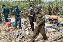 Dấu hiệu bất thường của nhóm người lạ trong rẫy mía, nghi khai thác vàng ở Đắk Lắk