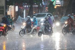 Hà Nội đón mưa vàng giải nhiệt