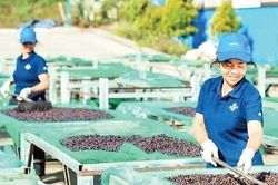 Nâng tầm giá trị, tạo cơ hội phát triển nông sản