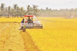 Nền tảng vững chắc để Hội Nông dân Việt Nam bứt phá, vươn lên
