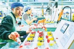 Hải Phòng phấn đấu có 20 doanh nghiệp thuộc Top 500