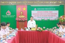 Đồng Nai tiếp tục phát huy hiệu quả hoạt động tín dụng chính sách