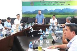 Triển khai phân cấp, phân quyền và cắt giảm thủ tục hành chính trong lĩnh vực trồng trọt, bảo vệ thực vật