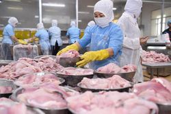 Xuất khẩu tiếp tục bứt phá
