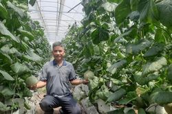 Đưa sản phẩm sạch, an toàn đến người tiêu dùng