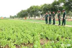 Quân đoàn 12 khai mạc hội thi 'Tăng gia sản xuất, chế biến tập trung'