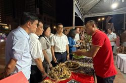Sắc màu An Hải Festival 2026 giữa mùa hè Đà Nẵng
