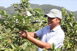 Đồng hành để nâng cao thu nhập cho người nông dân