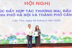 H&agrave; Nội v&agrave; Cần Thơ th&uacute;c đẩy hợp t&aacute;c thương mại, đầu tư