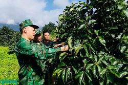 Tuổi trẻ Bộ đội Biên phòng tích cực hưởng ứng 'Ngày thứ Bảy tình nguyện', bảo vệ môi trường