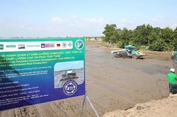 Mô hình liên kết canh tác lúa chất lượng cao, phát thải thấp