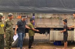 Bắt quả tang hai đối tượng hút trộm dầu xe tải ở Đồng Nai