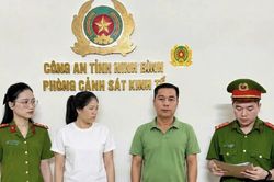 Nữ giám đốc công ty cây cảnh bị khởi tố vì trốn thuế hơn 3 tỷ đồng
