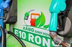 Nhiều quốc gia thành công với xăng E10, Việt Nam có thể học gì?