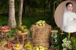 Mẹ hơn 30 năm bán hoa quả, cô dâu Vĩnh Long làm đám hỏi lạ, khách có quà mang về