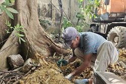 Phát hiện gần 40 bộ hài cốt khi mở rộng đường
