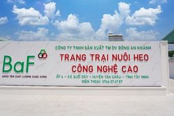 Mua lại 99,99% cổ phần nhưng không thông báo, BAF Việt Nam bị xử phạt