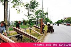 Tiếp thu phản ánh, khắc phục bất cập trên đường Trương Quốc Dụng
