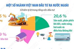 Đầu tư của Việt Nam ra nước ngoài trong 5 tháng năm 2026 đạt 794,6 triệu USD