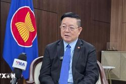 Tổng Thư ký ASEAN đề cao vai trò kiến tạo của Việt Nam