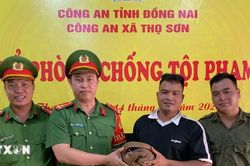 Đồng Nai: Phát hiện tê tê Java quý hiếm bò vào sân nhà dân