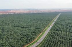 Đồng Nai: Cuối tháng 6 hoàn thành phê duyệt bồi thường 6 dự án trọng điểm